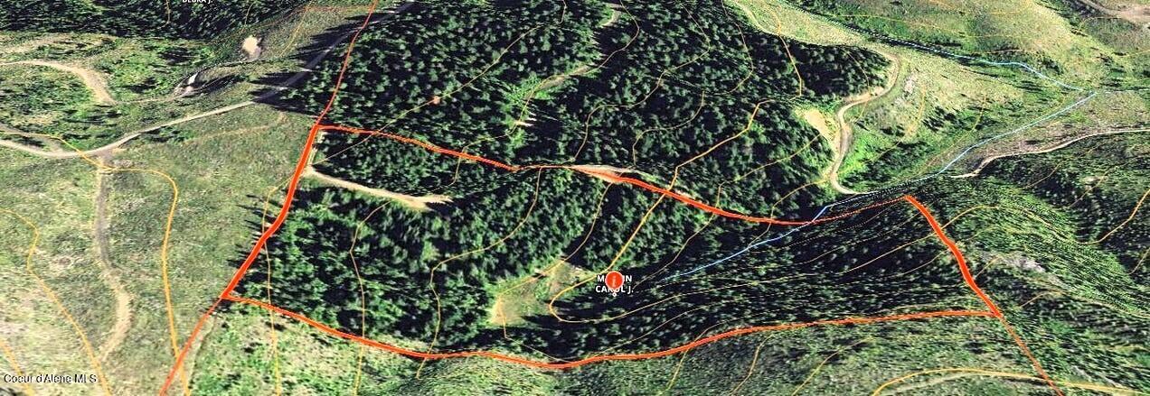Nka Gold Ridge Road St. Maries, ID 83861 - Photo 13 of 13 Property borders with topo