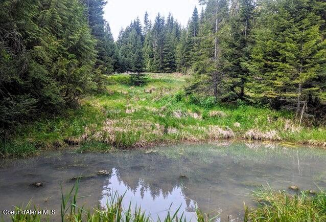 Nka Gold Ridge Road St. Maries, ID 83861 - Photo 4 of 13 Pond
