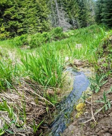 Nka Gold Ridge Road St. Maries, ID 83861 - Photo 5 of 13 Outlet from pond