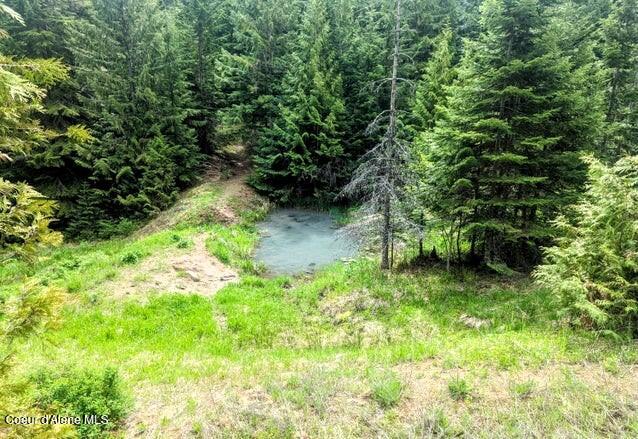 Nka Gold Ridge Road St. Maries, ID 83861 - Photo 6 of 13 Pond-1