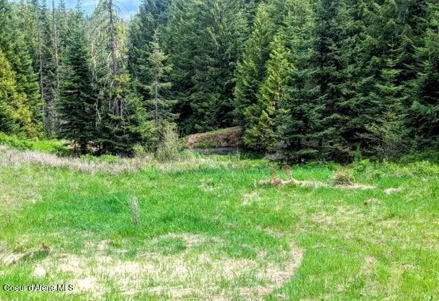 $239,000 | Nka Gold Ridge Road, St. Maries, ID 83861