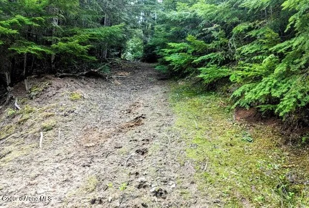 $239,000 | Nka Gold Ridge Road, St. Maries, ID 83861