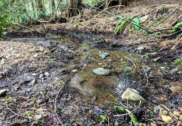 $239,000 | Nka Gold Ridge Road, St. Maries, ID 83861