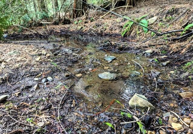 Nka Gold Ridge Road St. Maries, ID 83861 - Photo 9 of 13 Spring