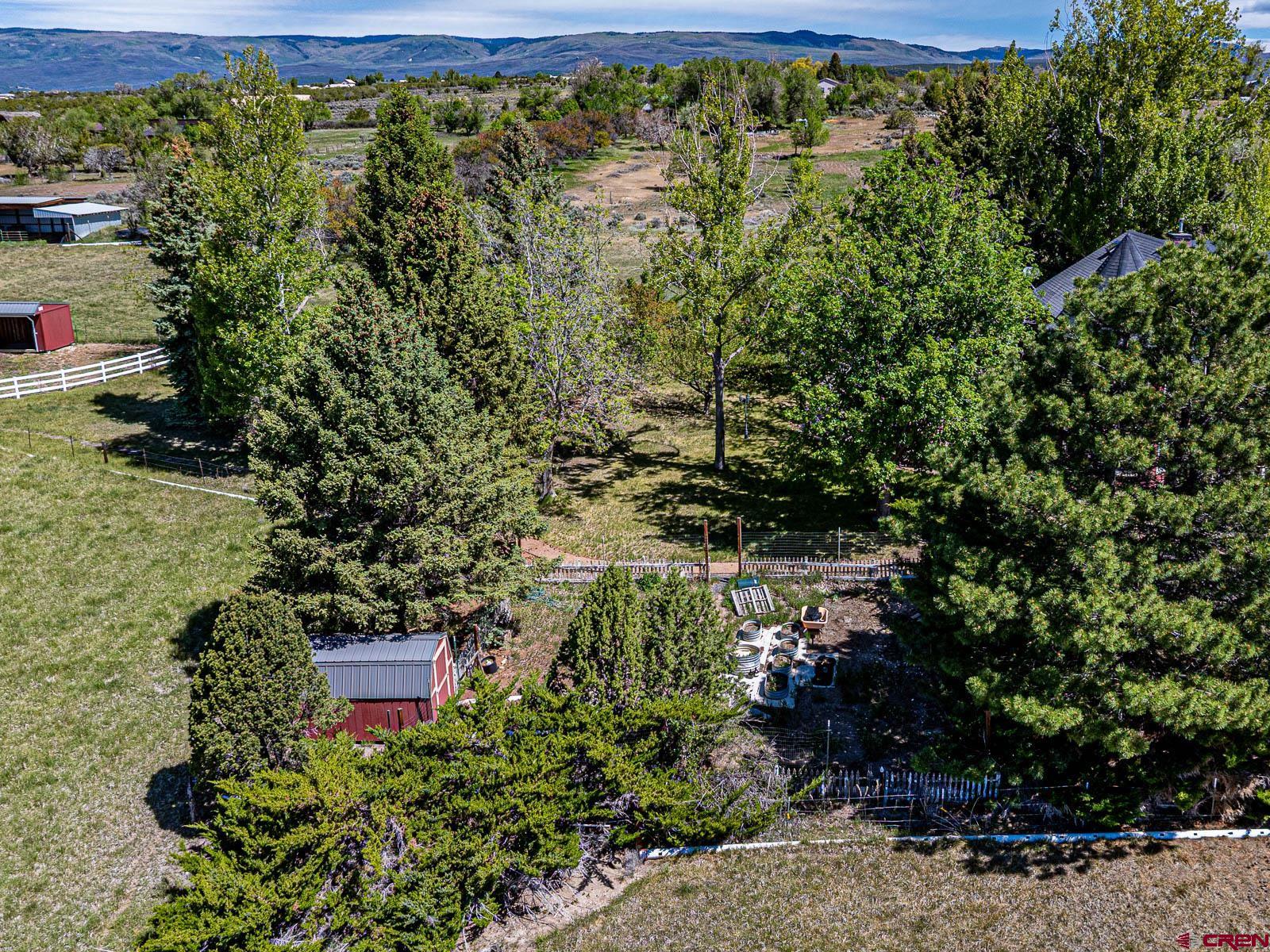 16331 2550th Road Cedaredge, CO 81413 - Photo 44 of 45 a view of a bench in middle of the green field