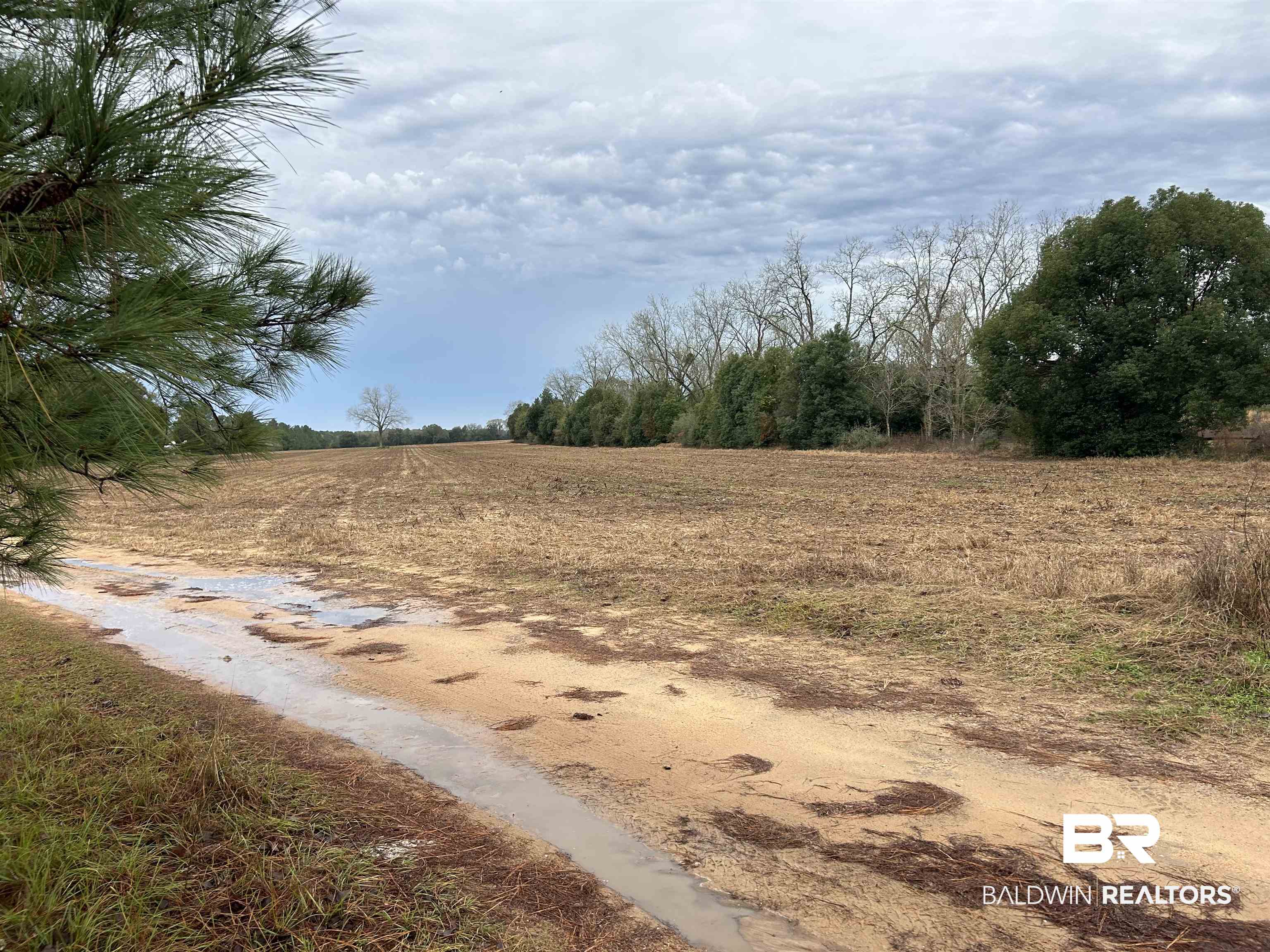 0 Alto Brill Road Robertsdale, AL 36567 - Photo 2 of 2 View of landscape with a rural view