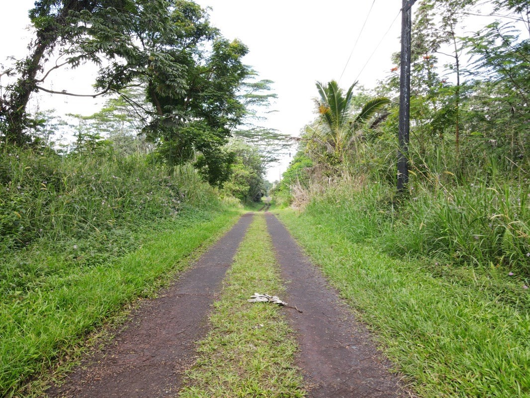 Holiday Road Pahoa, HI 96778 - Photo 7 of 7 Gallery Image 7