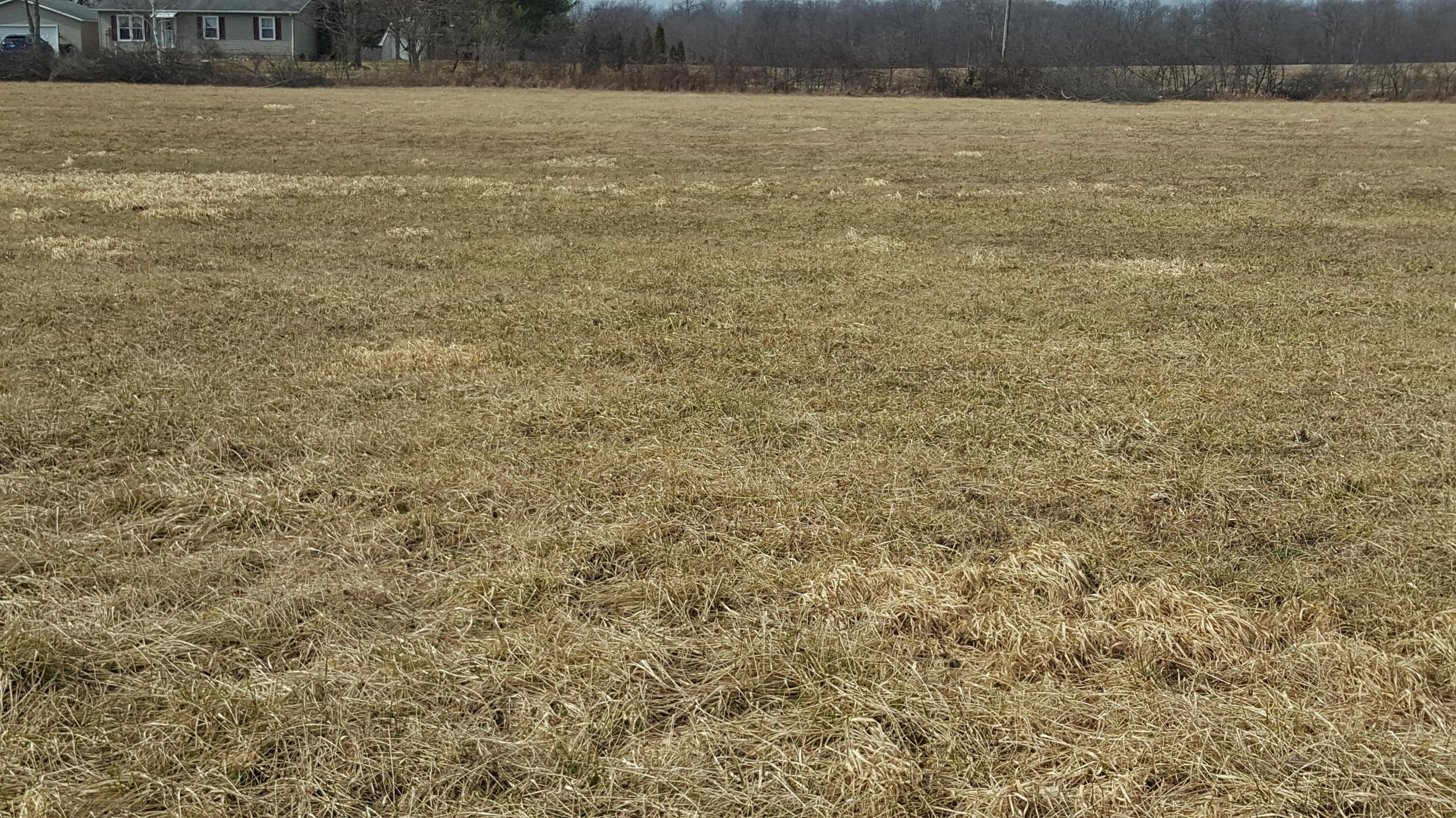 0 Pittman Road Delaware, OH 43015 - Photo 2 of 4