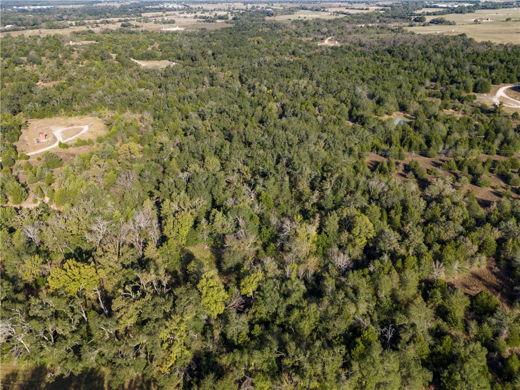 489 W West Teague, TX 75860 - Photo 3 of 10 a view of a field with a tree