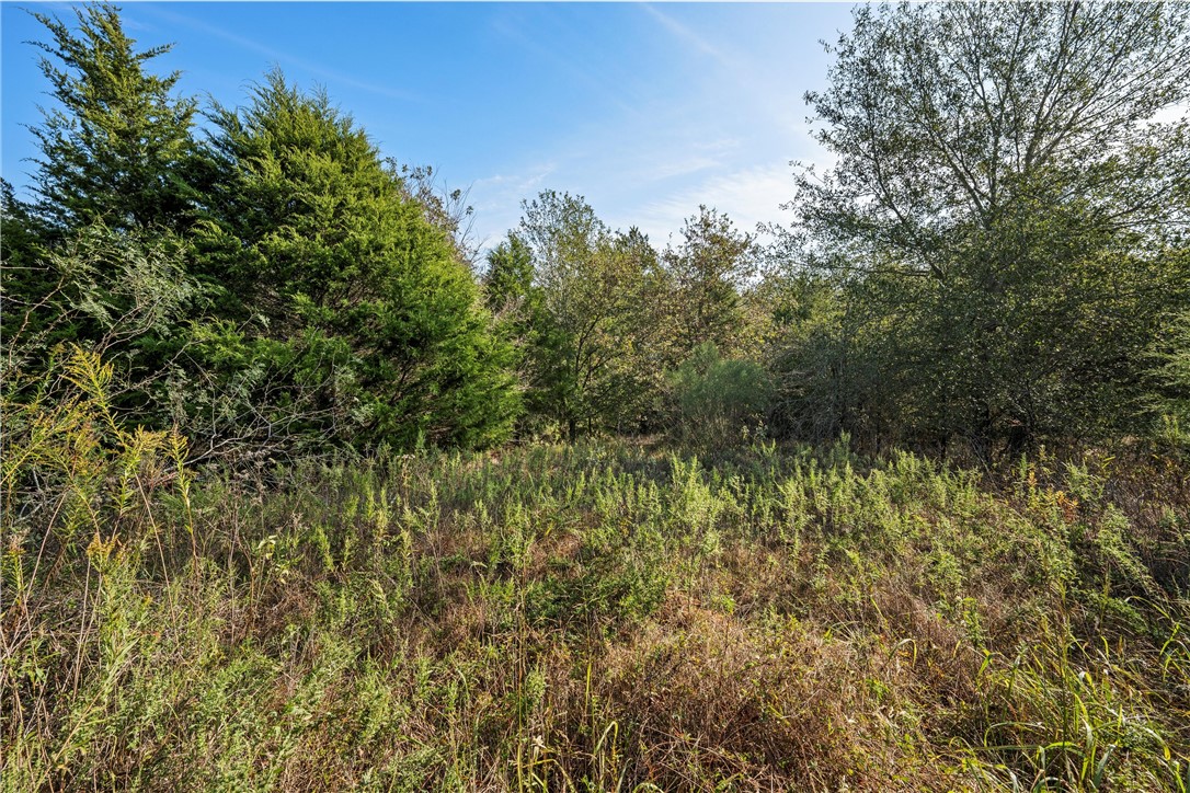 489 W West Teague, TX 75860 - Photo 5 of 10 a view of a yard with large trees