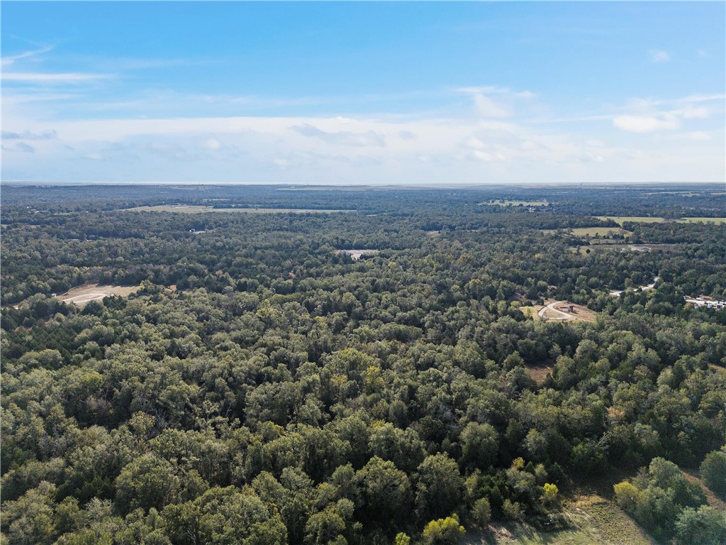 489 W West Teague, TX 75860 - Photo 6 of 10 an aerial view of multiple house