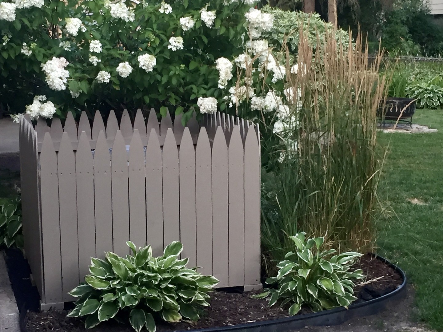 5 East Sunset Road Mount Prospect, IL 60056 - Photo 45 of 46 a plant that is in front of a wooden fence