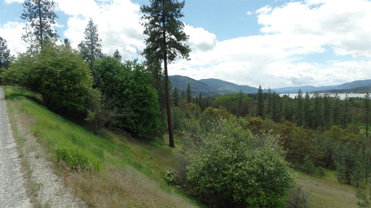 Lot 206 Old Kettle Road Kettle Falls, WA 99141 - Photo 1 of 9 Gallery Image 1