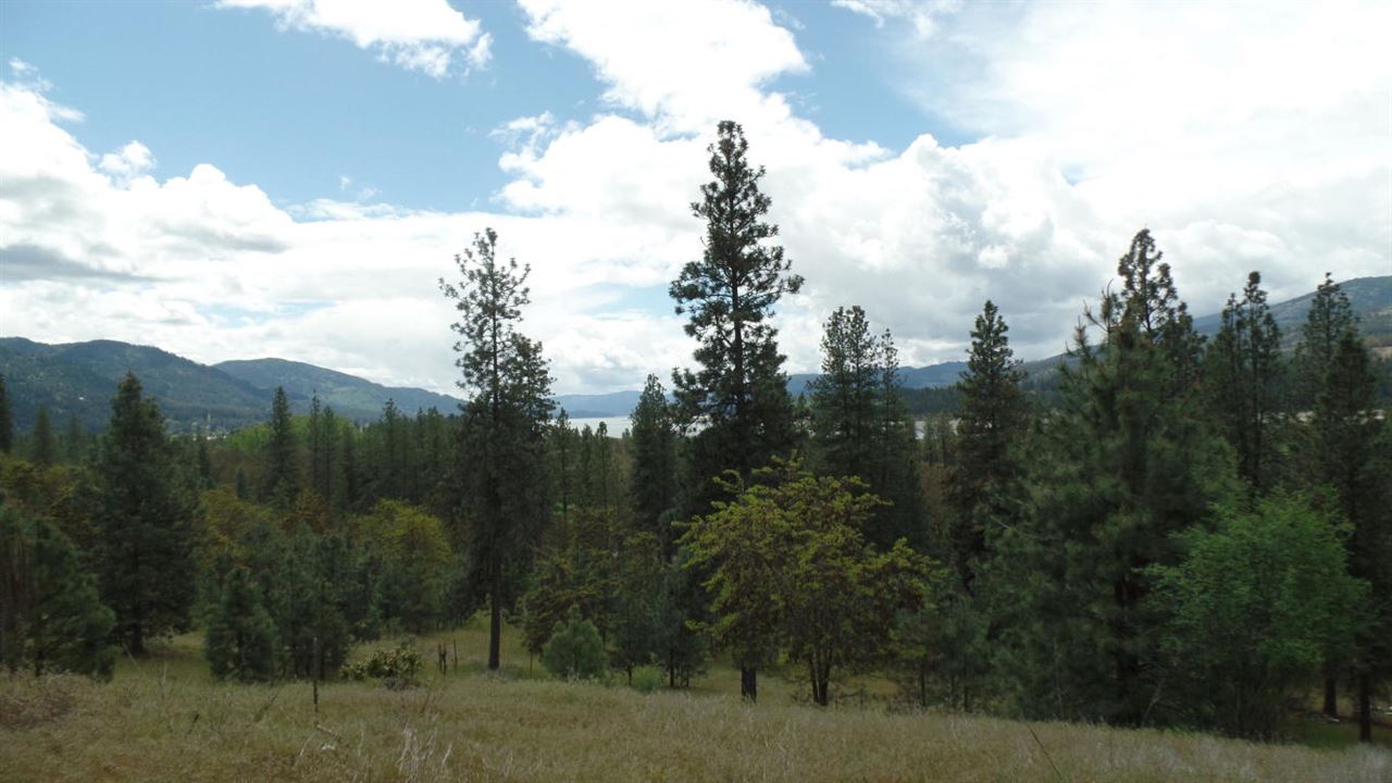 Lot 206 Old Kettle Road Kettle Falls, WA 99141 - Photo 3 of 9 Gallery Image 3