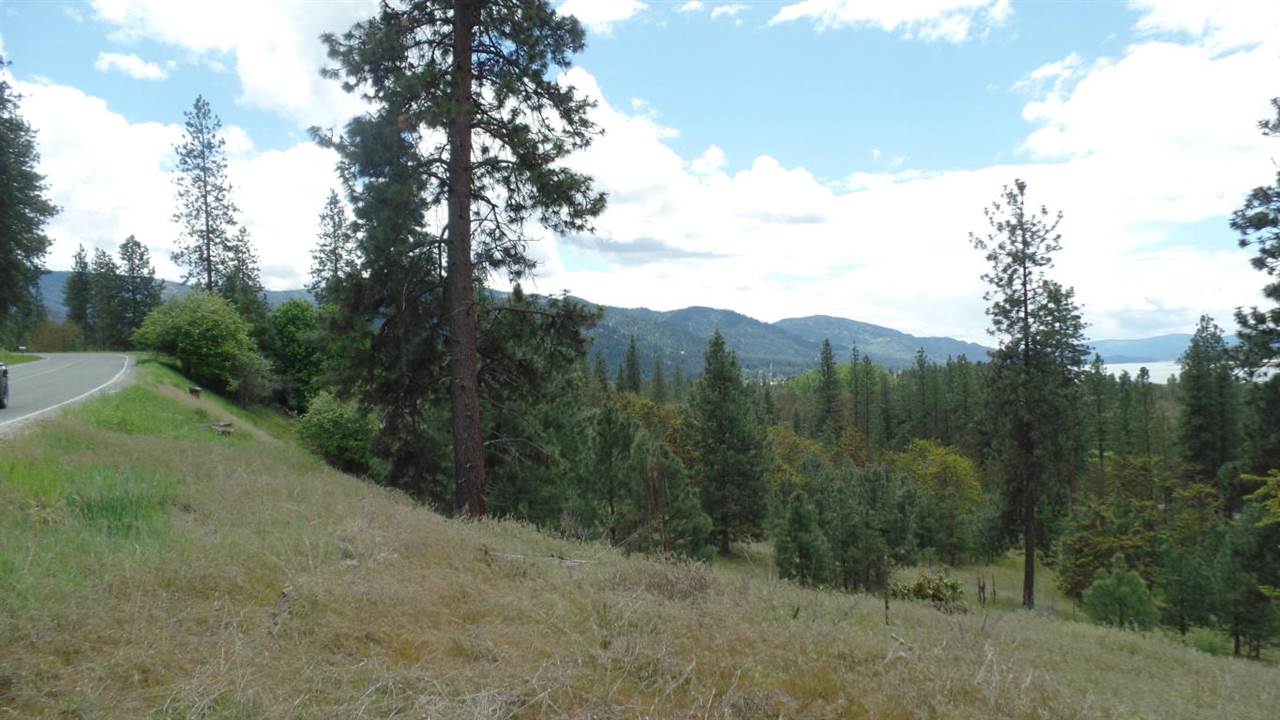 Lot 206 Old Kettle Road Kettle Falls, WA 99141 - Photo 4 of 9 Gallery Image 4