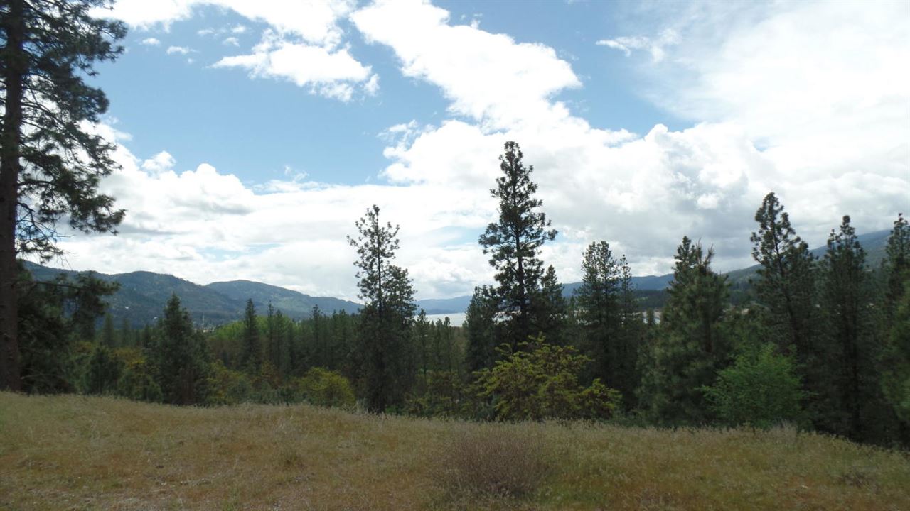 Lot 206 Old Kettle Road Kettle Falls, WA 99141 - Photo 5 of 9 Gallery Image 5