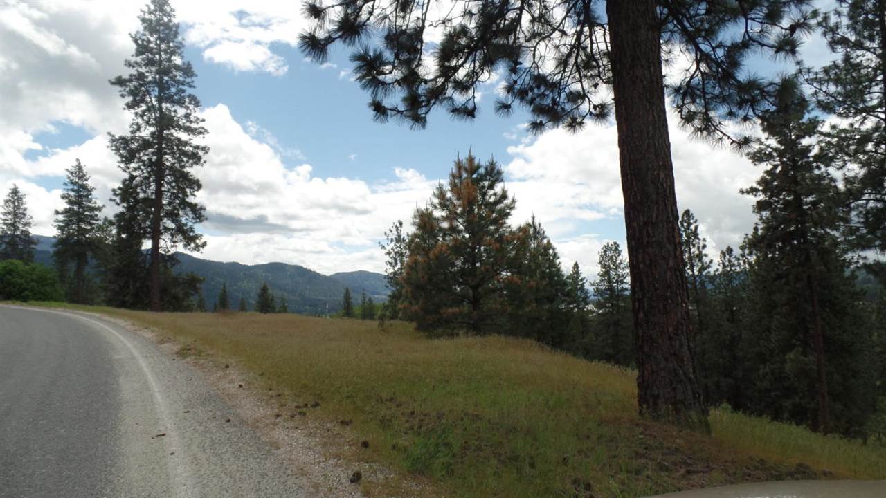 Lot 206 Old Kettle Road Kettle Falls, WA 99141 - Photo 6 of 9 Gallery Image 6
