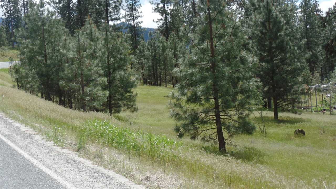 Lot 206 Old Kettle Road Kettle Falls, WA 99141 - Photo 7 of 9 Gallery Image 7