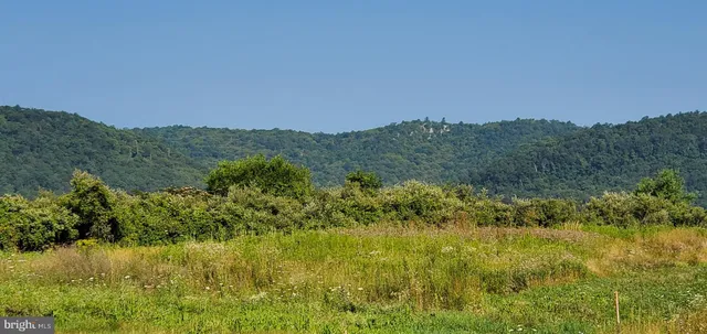 a view of a lush green forest with houses