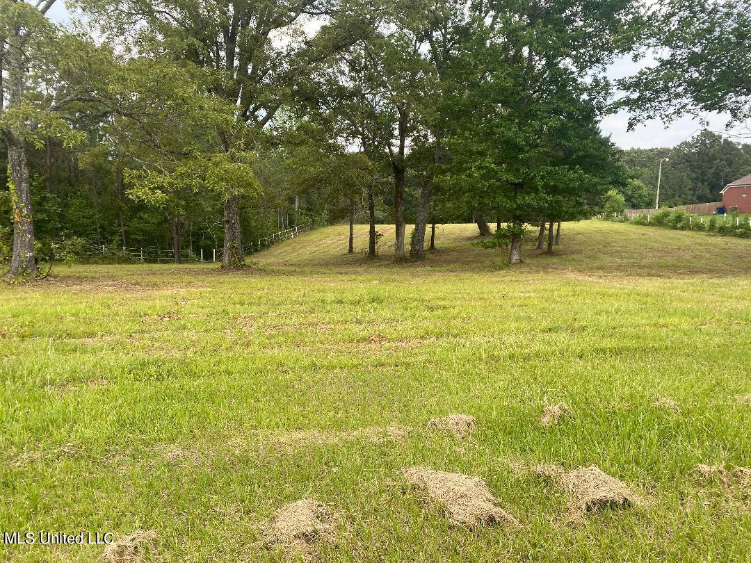 18 Tara Road Holly Springs, MS 38635 - Photo 1 of 1 Land for sale
