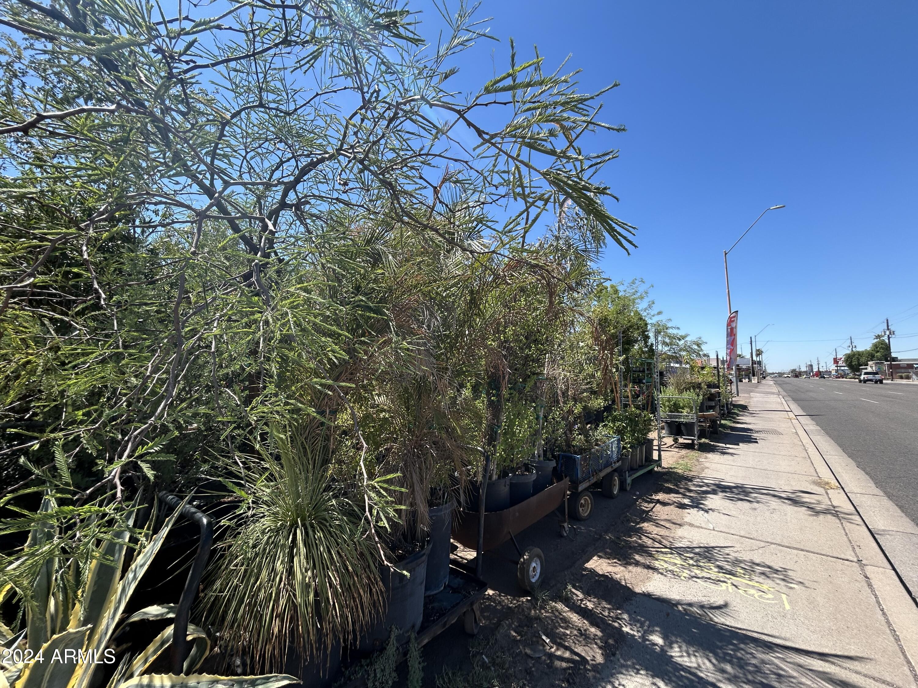 2729 East McDowell Road, Unit 15 Phoenix, AZ 85008 - Photo 6 of 9 a backyard of a house with lots of green space