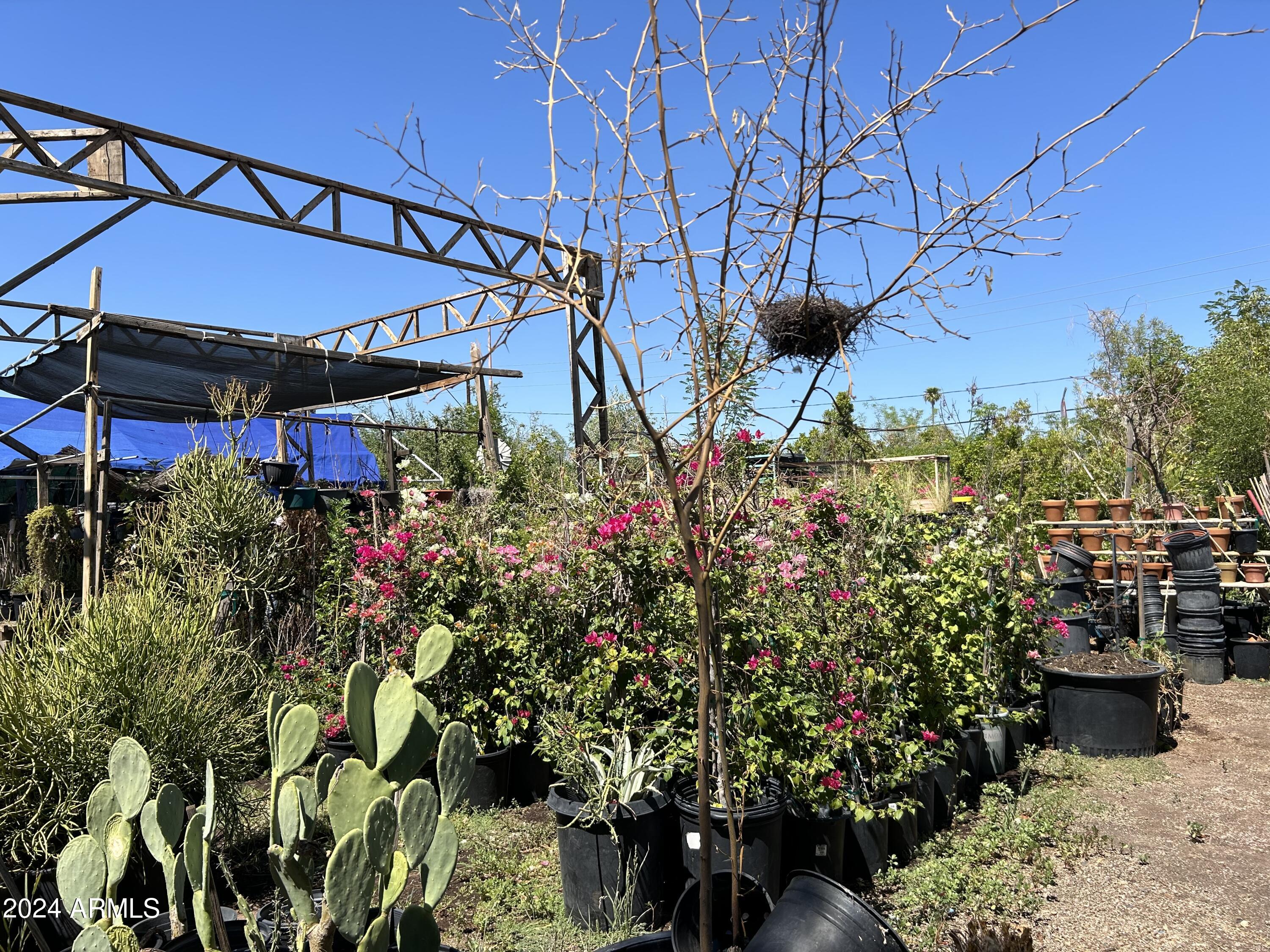 2729 East McDowell Road, Unit 15 Phoenix, AZ 85008 - Photo 7 of 9 a view of a chair and table in the backyard