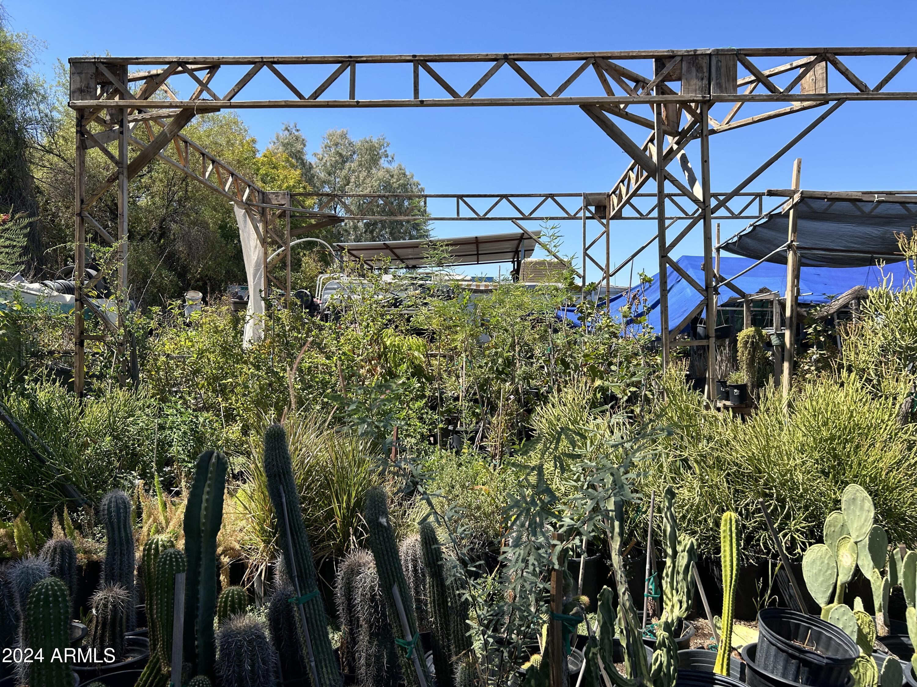2729 East McDowell Road, Unit 15 Phoenix, AZ 85008 - Photo 8 of 9 a backyard of a house with lots of green space