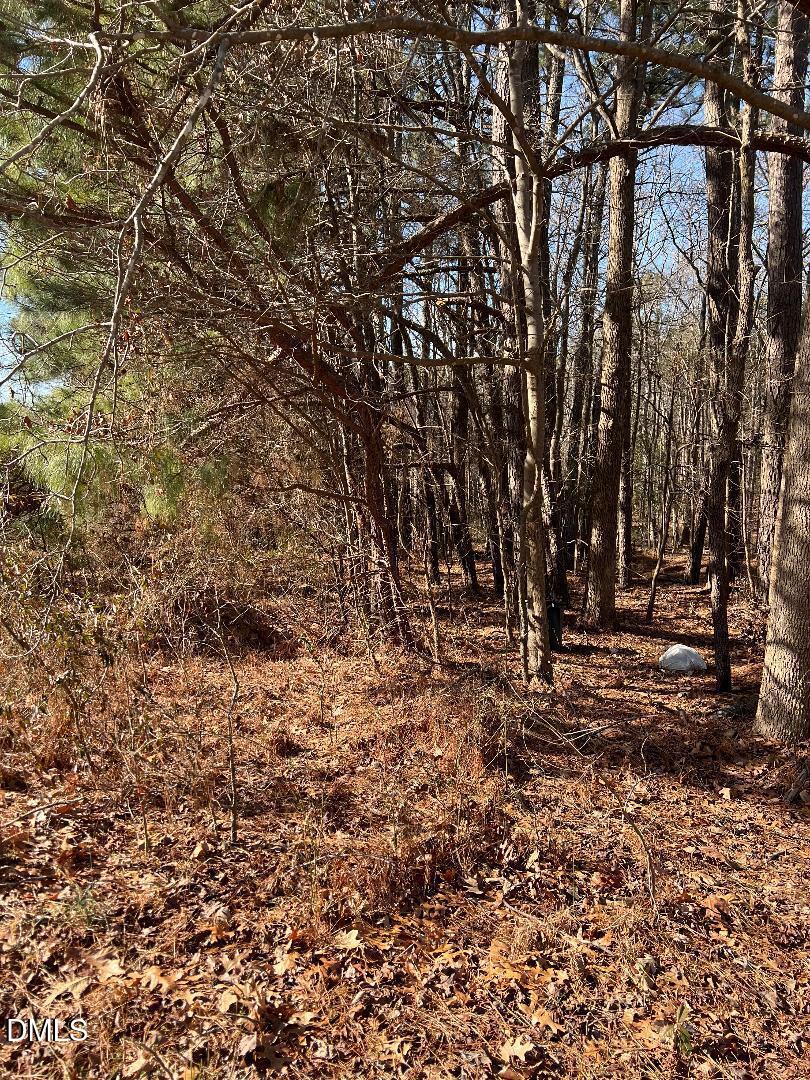 204 Fairhaven Street Apex, NC 27539 - Photo 1 of 3 a view of a yard with a tree