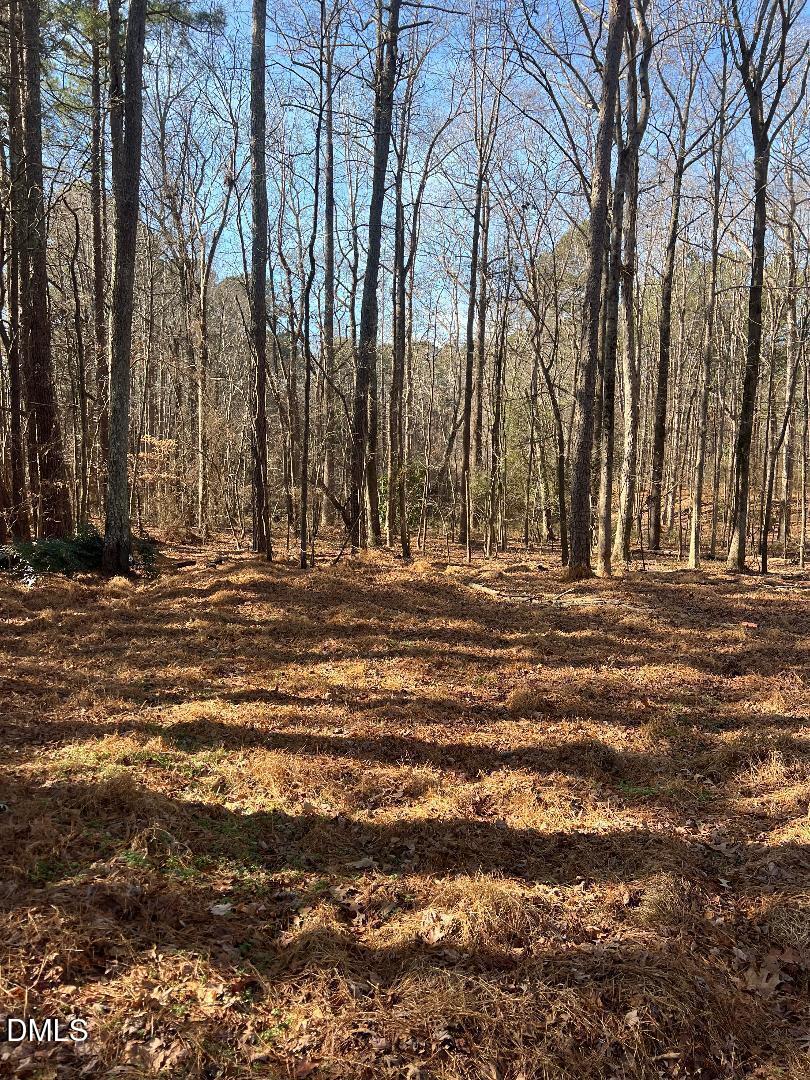 204 Fairhaven Street Apex, NC 27539 - Photo 2 of 3 a view of outdoor space with trees