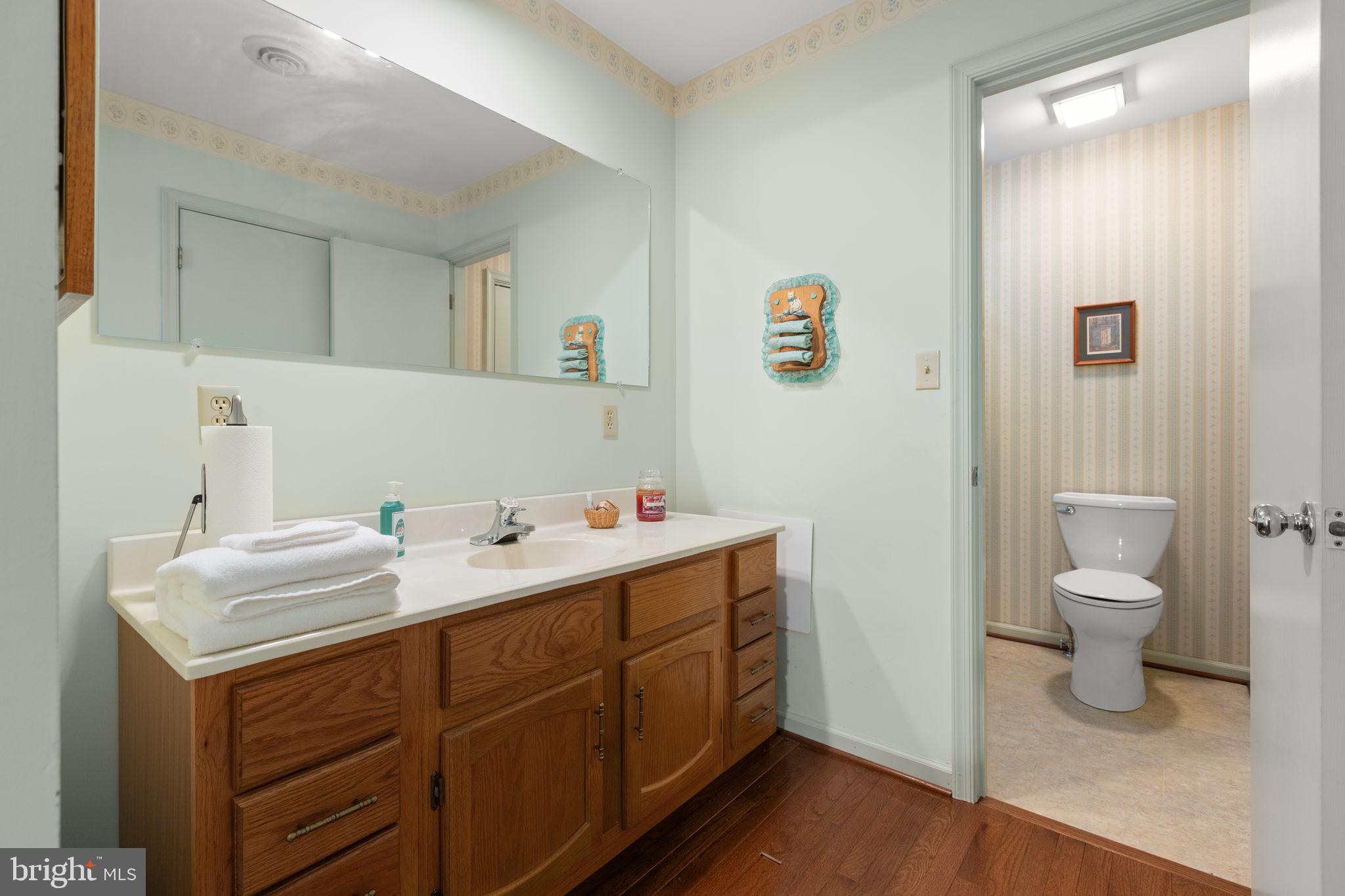 11051 Alden Road King George, VA 22485 - Photo 35 of 82 Primary bath