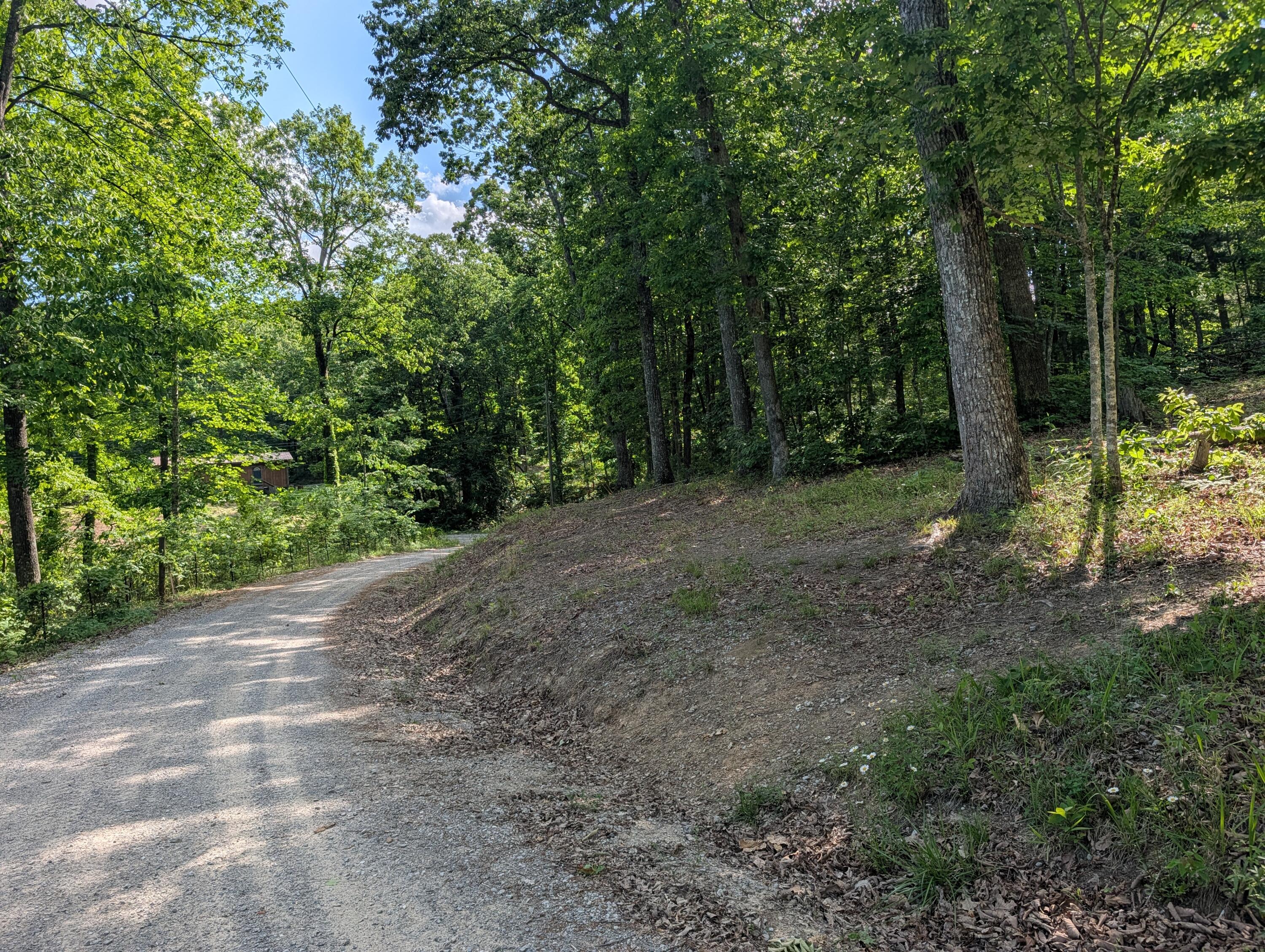Lot 94-95 Red Oak Ln Spring Spring City, TN 37381 - Photo 5 of 10 PXL_20260518_204624757