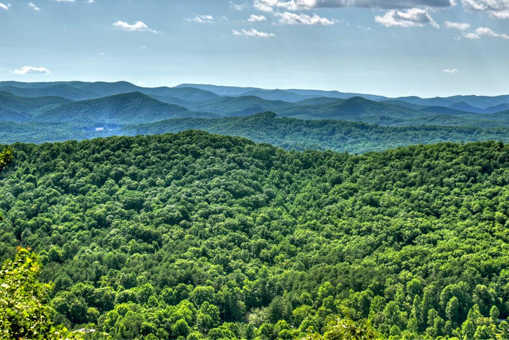98 Snake Nation Overlook Blue Ridge, GA 30513 - Photo 27 of 47 Gallery Image 27