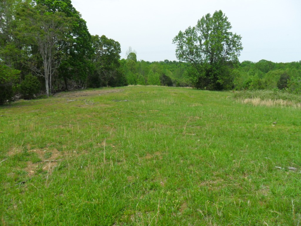 4160 Lem Davis Road Cunningham, TN 37052 - Photo 1 of 21 Gallery Image 1