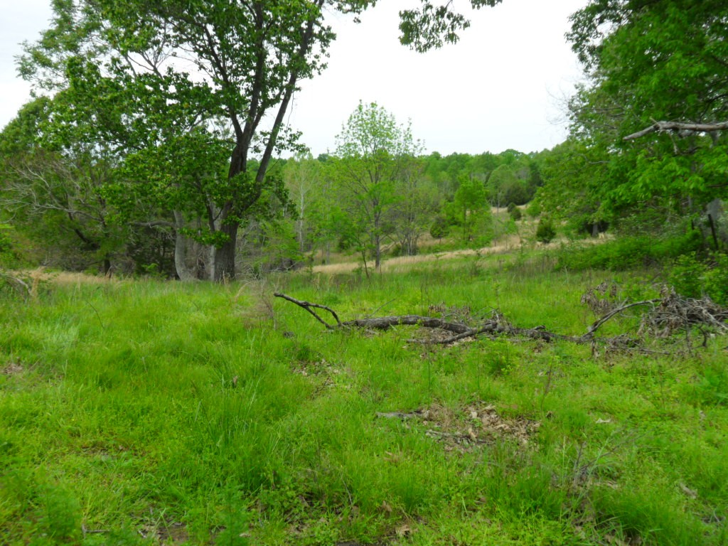 4160 Lem Davis Road Cunningham, TN 37052 - Photo 13 of 21 Gallery Image 13