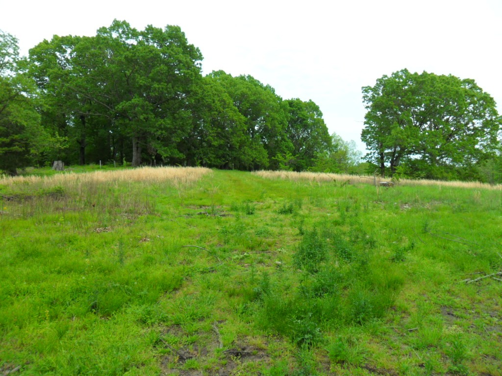 4160 Lem Davis Road Cunningham, TN 37052 - Photo 14 of 21 Gallery Image 14