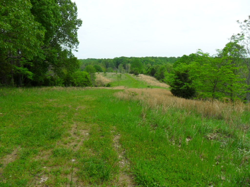 4160 Lem Davis Road Cunningham, TN 37052 - Photo 15 of 21 Gallery Image 15