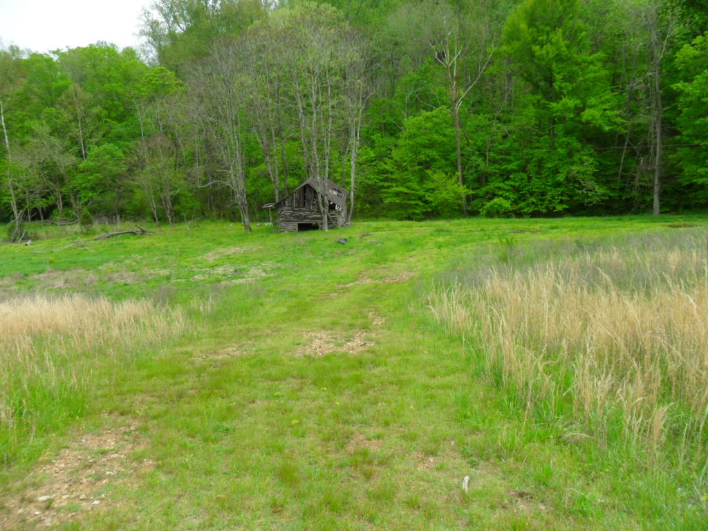 4160 Lem Davis Road Cunningham, TN 37052 - Photo 17 of 21 Gallery Image 17