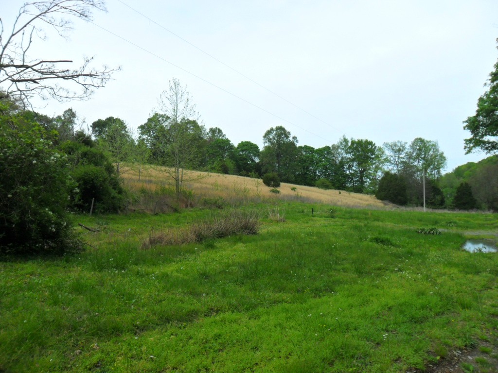 4160 Lem Davis Road Cunningham, TN 37052 - Photo 3 of 21 Gallery Image 3