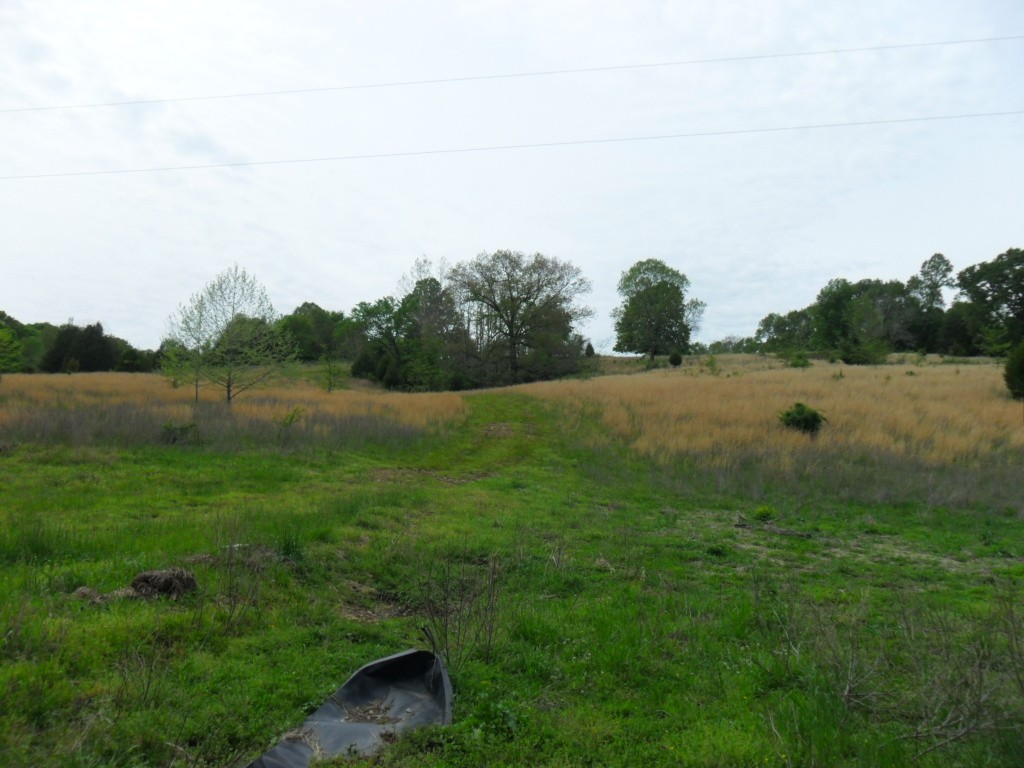 4160 Lem Davis Road Cunningham, TN 37052 - Photo 4 of 21 Gallery Image 4