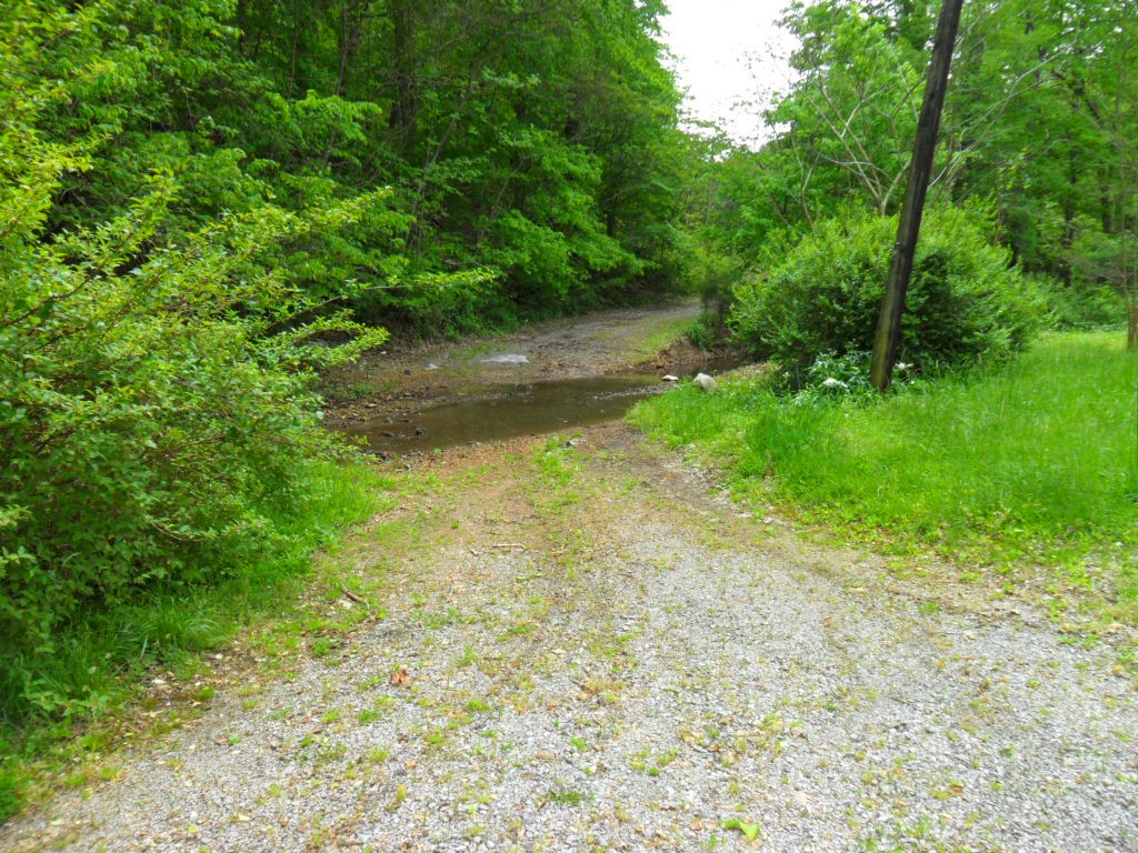 4160 Lem Davis Road Cunningham, TN 37052 - Photo 6 of 21 Gallery Image 6