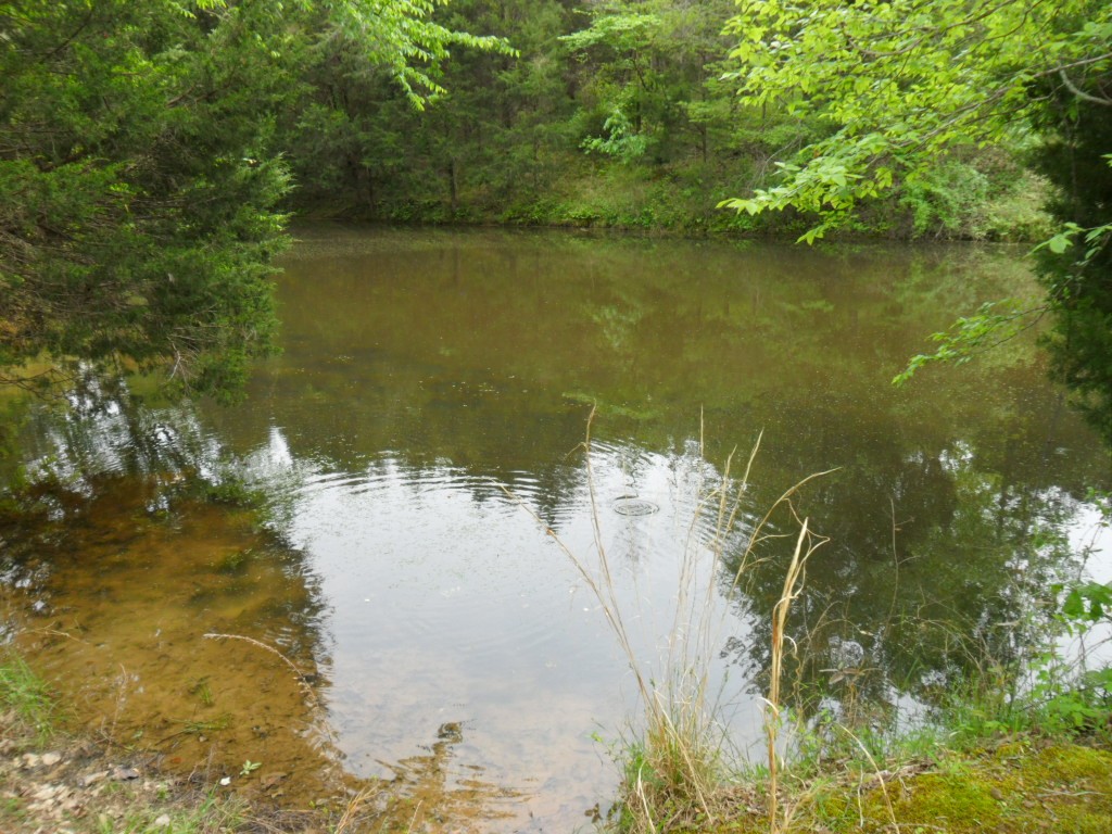 4160 Lem Davis Road Cunningham, TN 37052 - Photo 7 of 21 Gallery Image 7