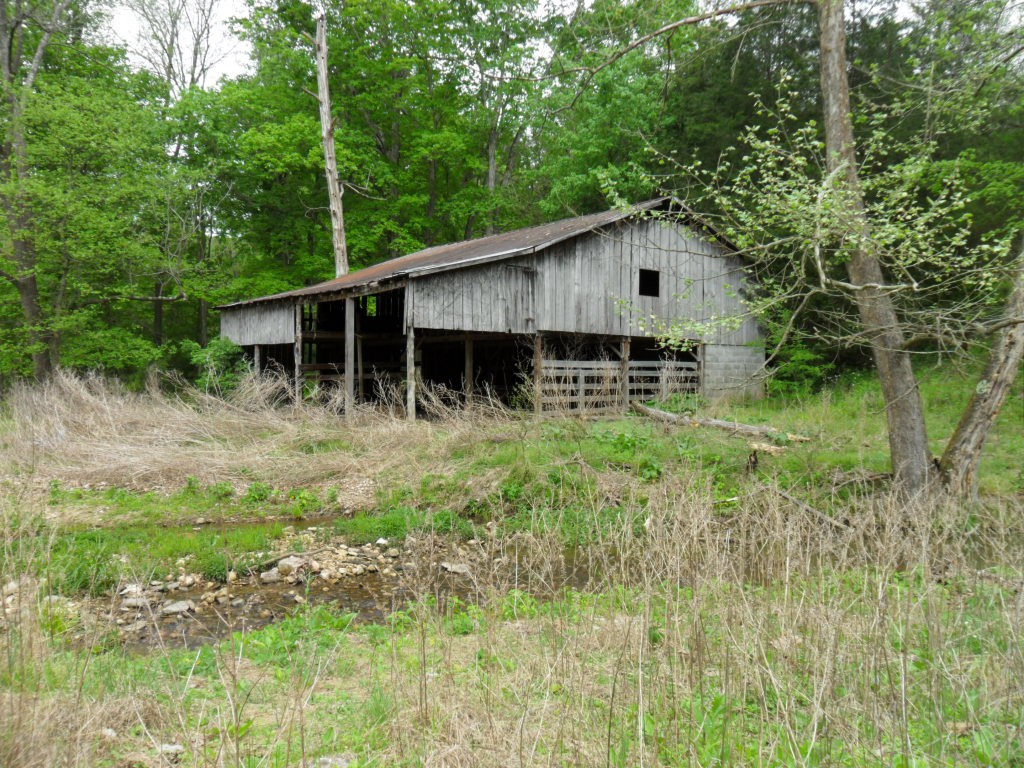 4160 Lem Davis Road Cunningham, TN 37052 - Photo 8 of 21 Gallery Image 8