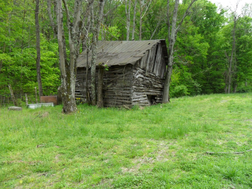 4160 Lem Davis Road Cunningham, TN 37052 - Photo 9 of 21 Gallery Image 9