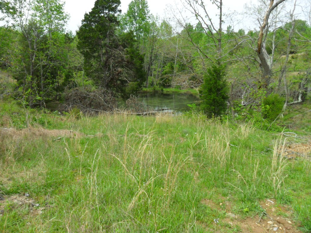 4160 Lem Davis Road Cunningham, TN 37052 - Photo 10 of 21 Gallery Image 10