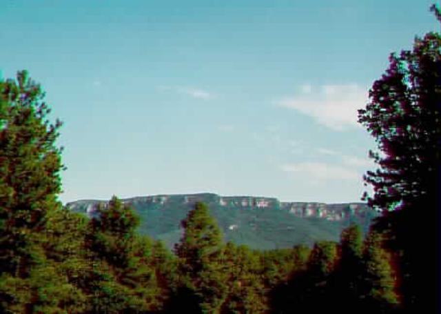 Primary Photo