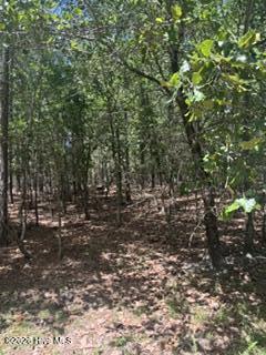 Tbd Boling Way Carthage, NC 28327 - Photo 4 of 4