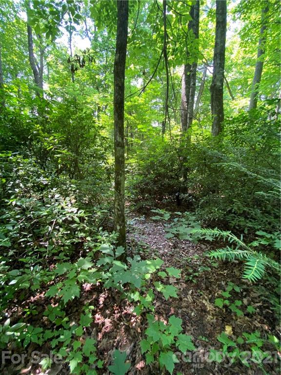 3 Rhododendron Drive, Unit 3 Old Fort, NC 28762 - Photo 3 of 11 Gallery Image 3