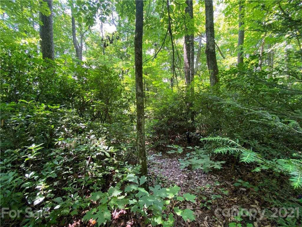 3 Rhododendron Drive, Unit 3 Old Fort, NC 28762 - Photo 6 of 11 Gallery Image 6