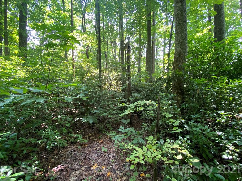 3 Rhododendron Drive, Unit 3 Old Fort, NC 28762 - Photo 7 of 11 Gallery Image 7