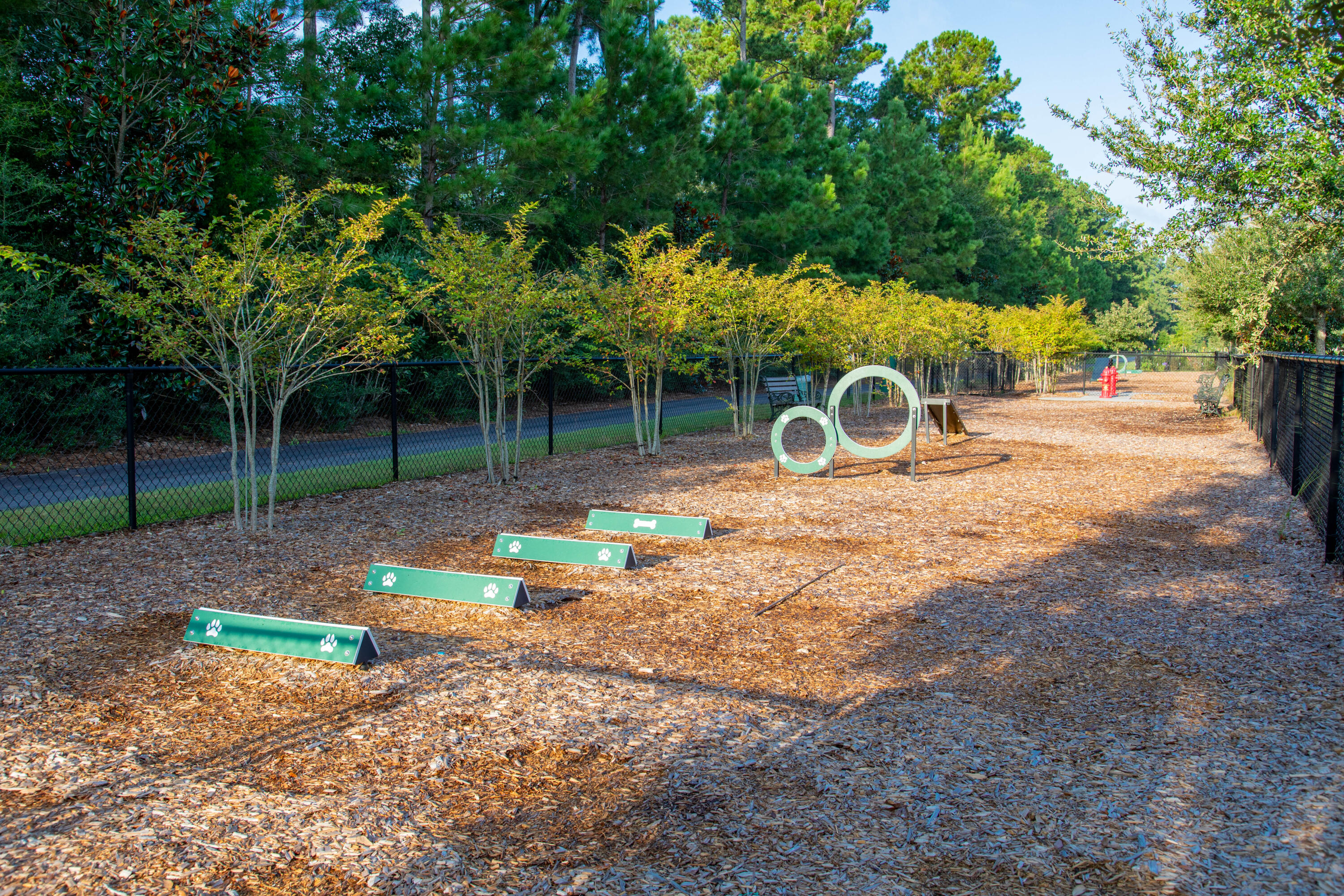 295 Denham Street Summerville, SC 29486 - Photo 35 of 38 CARNES DOG PARK 2